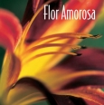 Flor Amorosa - Brasileirinho