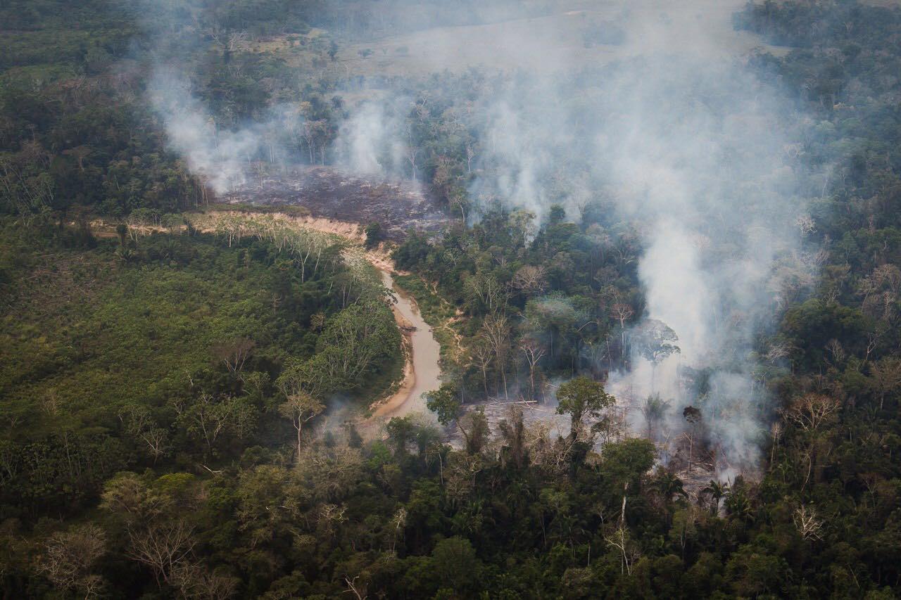 Queimada Amazonia