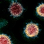 20200227_02_coronavirus_1.jpg